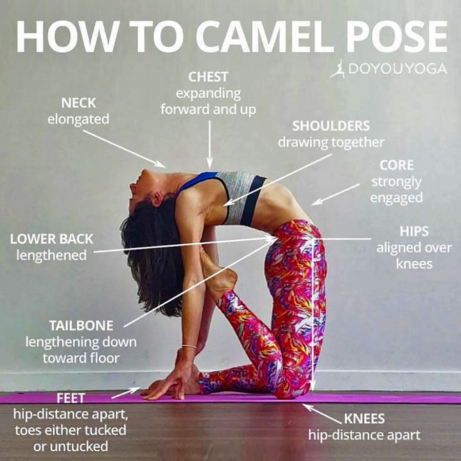 Ustrasana Yoga Asana - Camel Pose - YOGATEKET