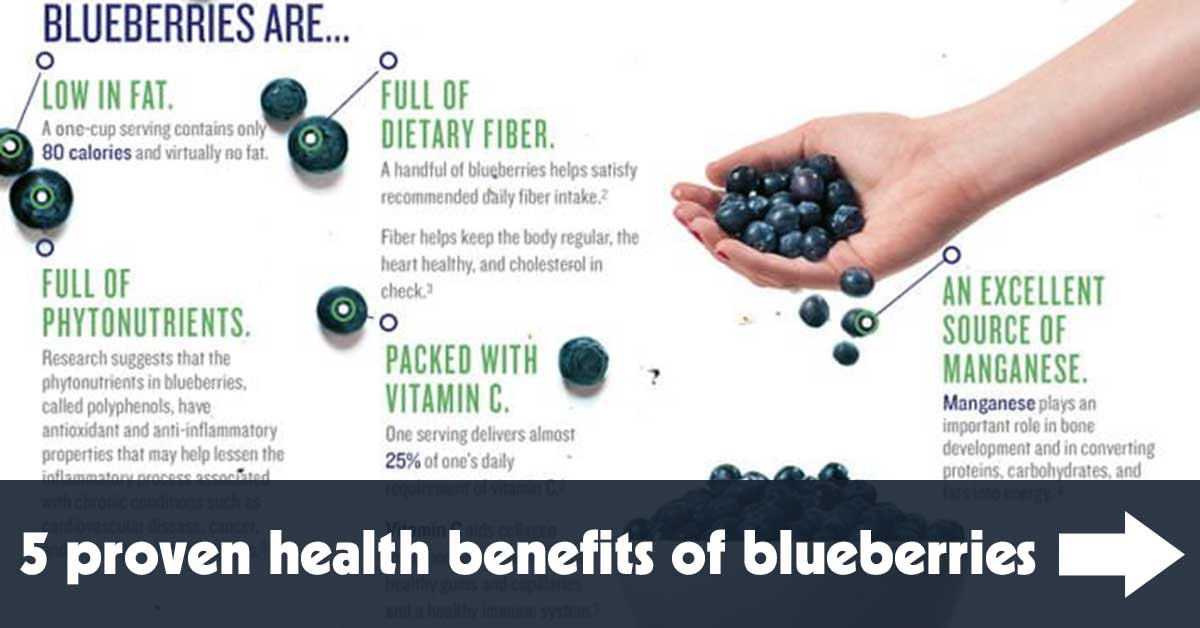 5 Proven Health Benefits Of Blueberries