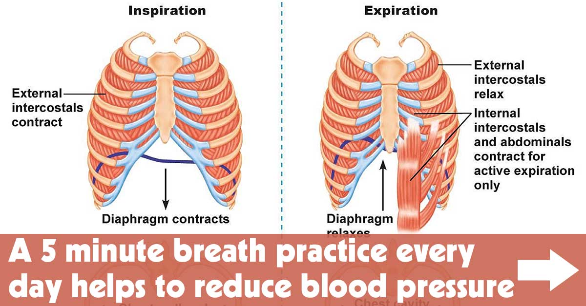 A 5 Minute Breath Practice Every Day Helps to Reduce Blood Pressure