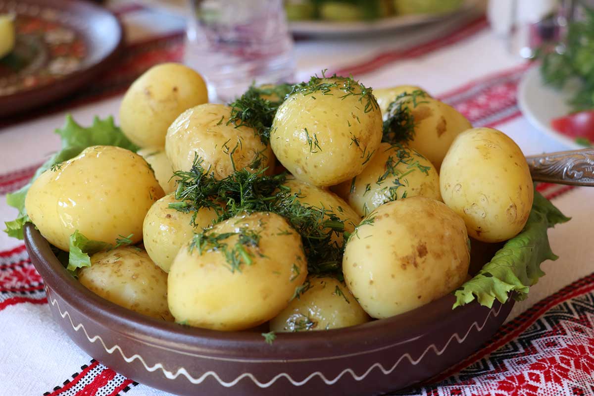 Blood Glucose Levels Are Not Negatively Affected By Potato Consumption F2