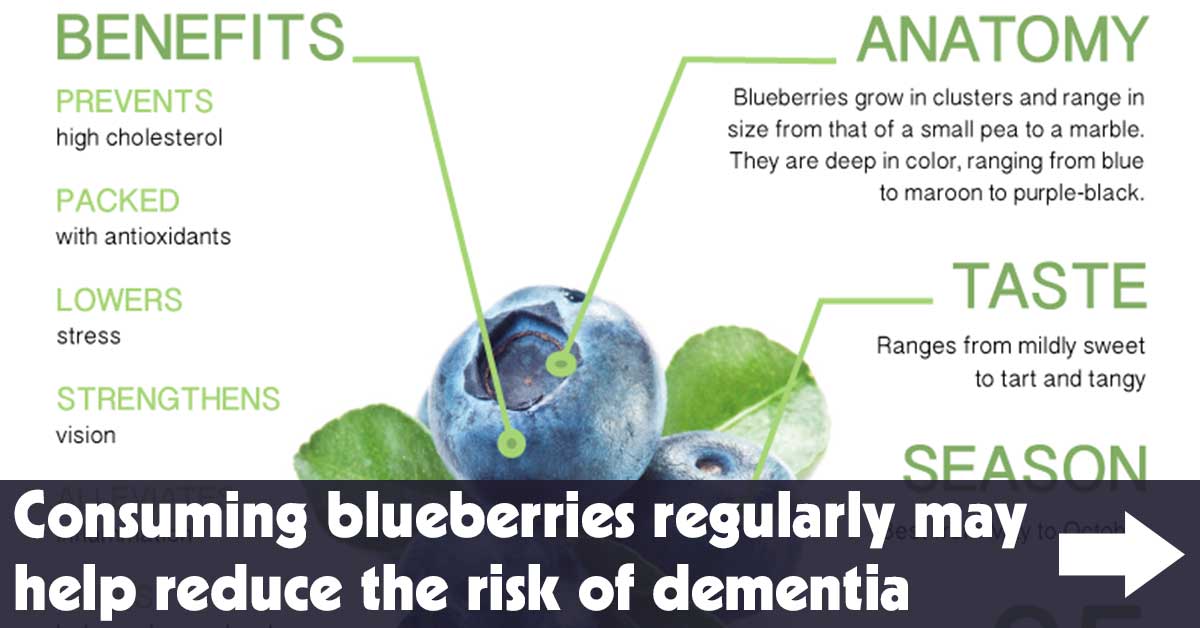 Consuming Blueberries Regularly May Help Reduce the Risk of Dementia