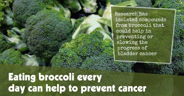 Eating Broccoli Every Day Can Help To Prevent Cancer