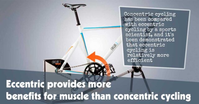 Eccentric Provides More Benefits For Muscle Than Concentric Cycling