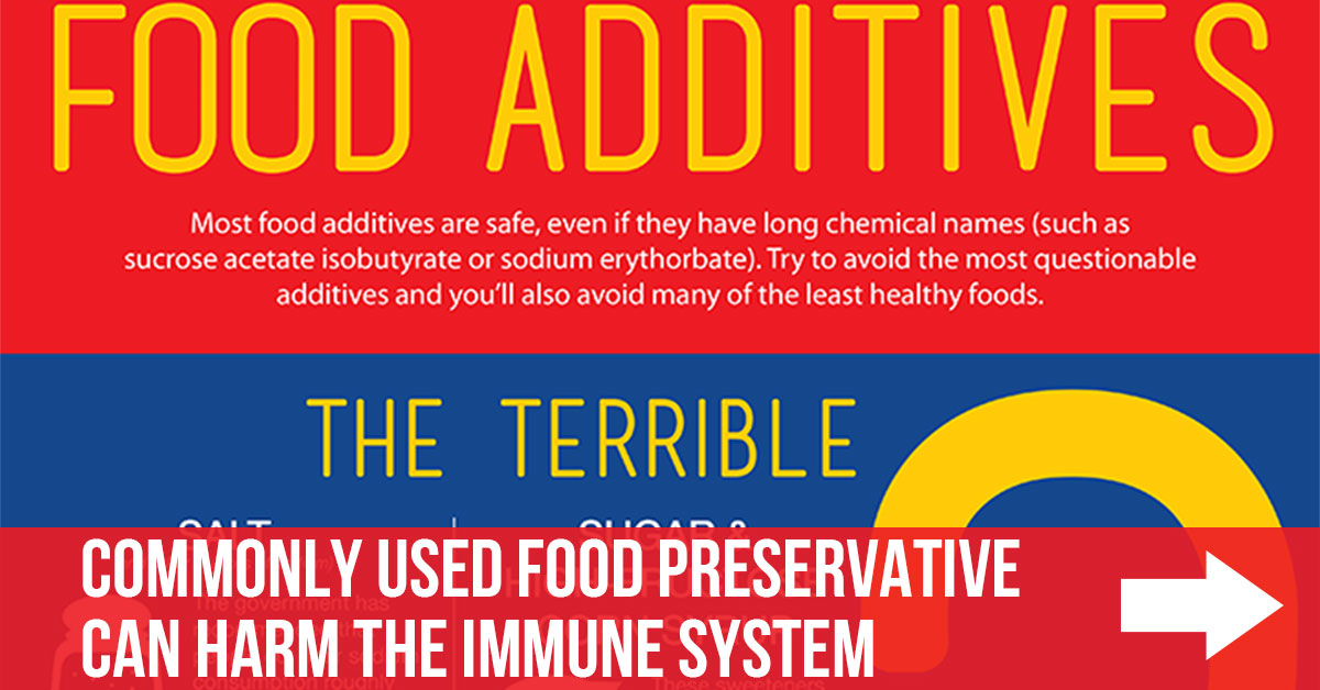 commonly-used-food-preservative-can-harm-the-immune-system