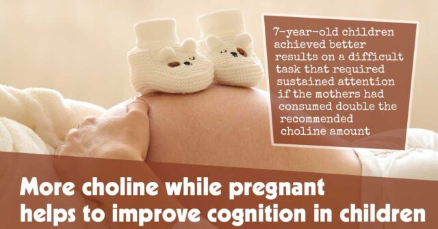 More Choline While Pregnant Helps To Improve Cognition In Children