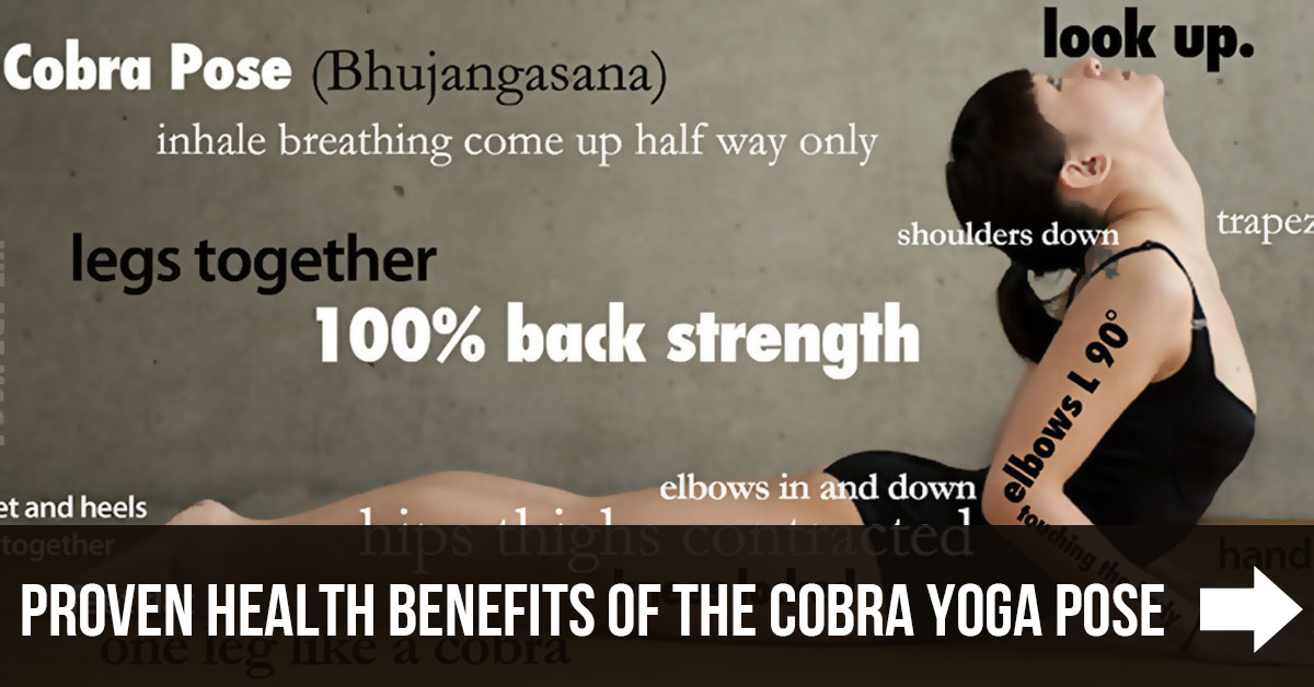 Striking Cobra (Shashank Bhujangasana) – Yoga Poses Guide by WorkoutLabs