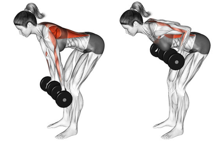 5 Of The Best Deltoid Exercises To Do At Home