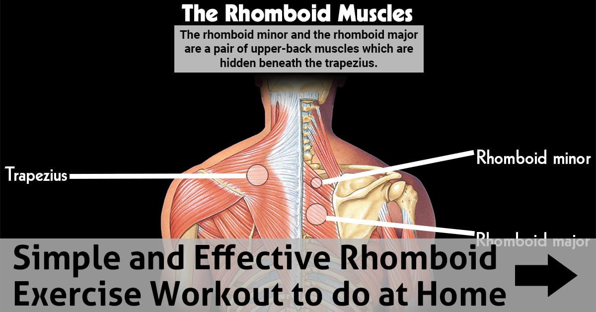 Simple and Effective Rhomboid Exercise Workout to do at Home